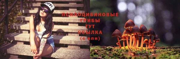 мет Зеленодольск